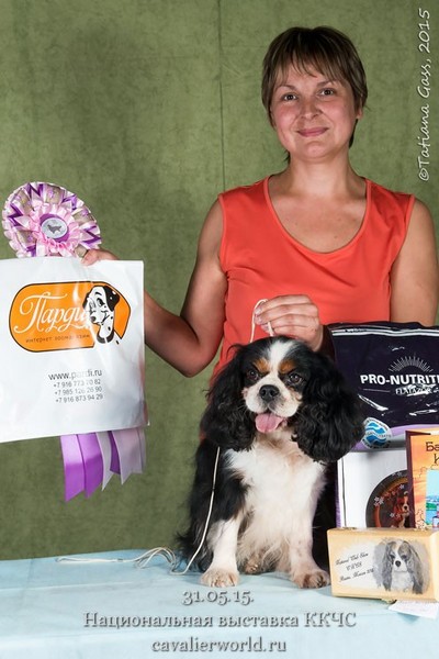 NEVAR PRINCE LUX Best veteran male (2).jpg